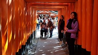 fushimiinari